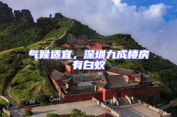 氣候適宜，深圳九成樓房有白蟻