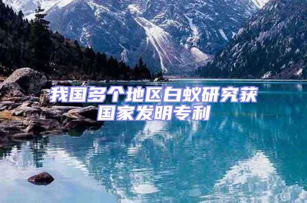 我國多個地區(qū)白蟻研究獲國家發(fā)明專利
