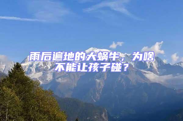 雨后遍地的大蝸牛，為啥不能讓孩子碰？