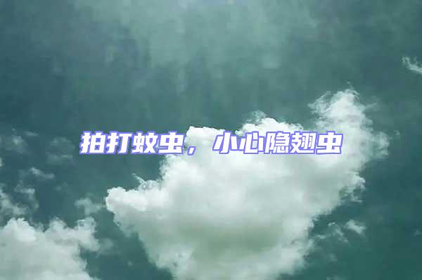 拍打蚊蟲，小心隱翅蟲
