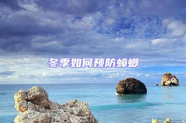 冬季如何預防蟑螂