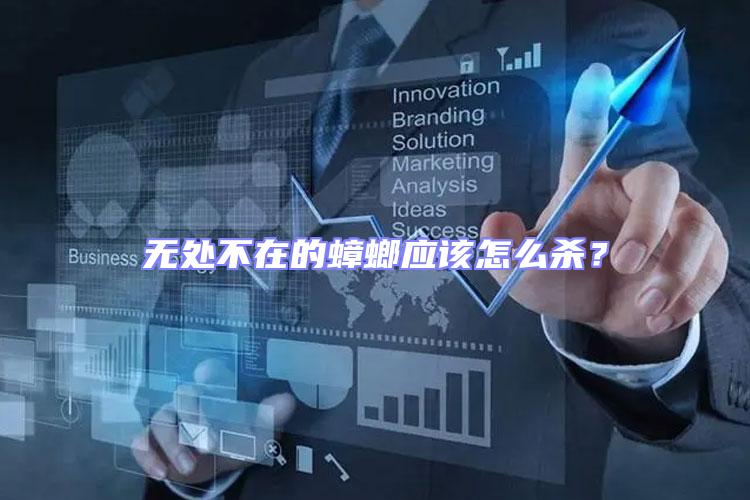 無處不在的蟑螂應該怎么殺？