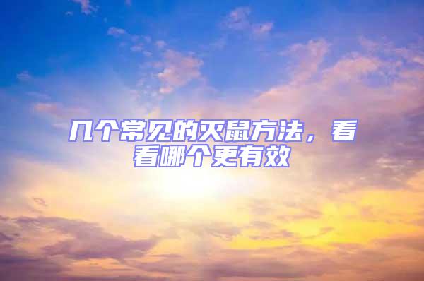 幾個常見的滅鼠方法，看看哪個更有效