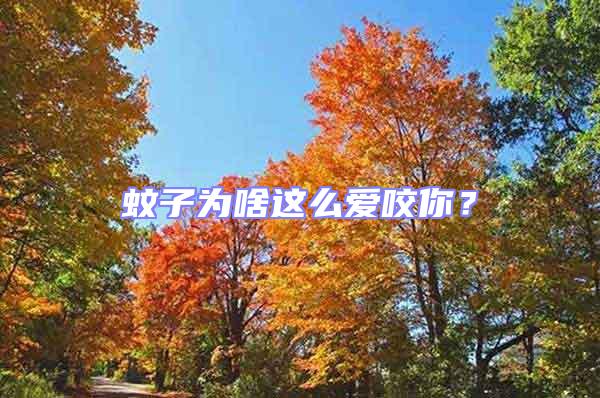 蚊子為啥這么愛咬你？