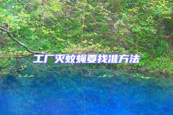 工廠滅蚊蠅要找準(zhǔn)方法