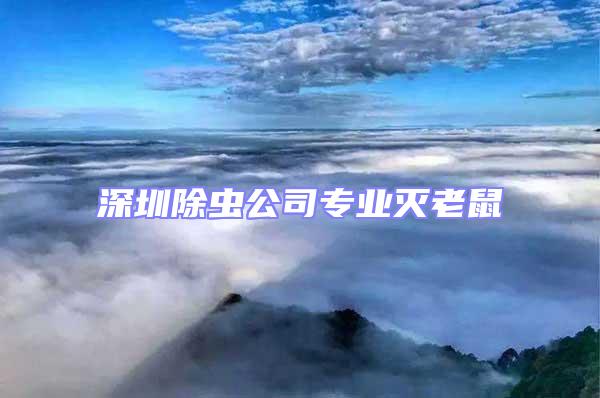 深圳除蟲公司專業滅老鼠