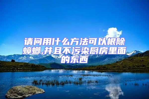 請(qǐng)問用什么方法可以根除蟑螂,并且不污染廚房里面的東西