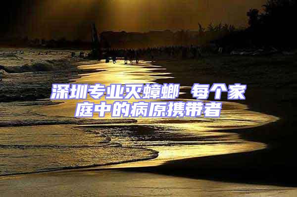 深圳專業(yè)滅蟑螂 每個(gè)家庭中的病原攜帶者