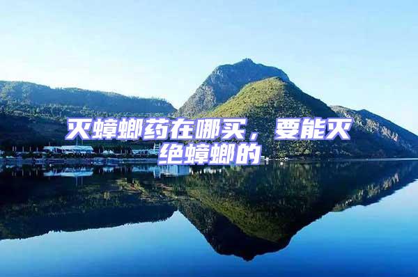 滅蟑螂藥在哪買，要能滅絕蟑螂的