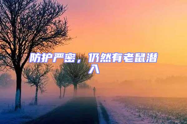 防護嚴密，仍然有老鼠潛入