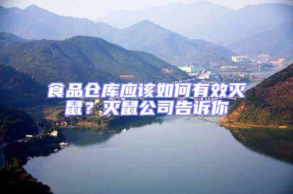 食品倉庫應該如何有效滅鼠？滅鼠公司告訴你
