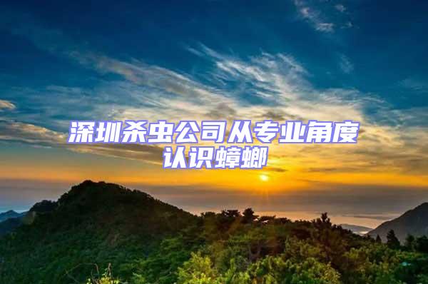 深圳殺蟲公司從專業(yè)角度認(rèn)識(shí)蟑螂