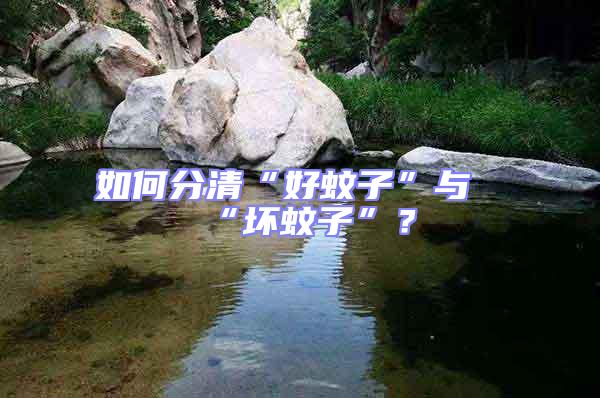 如何分清“好蚊子”與“壞蚊子”？