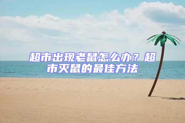 超市出現老鼠怎么辦？超市滅鼠的最佳方法