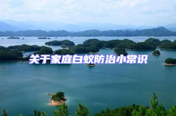 關于家庭白蟻防治小常識