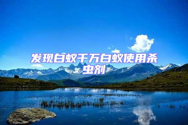 發現白蟻千萬白蟻使用殺蟲劑