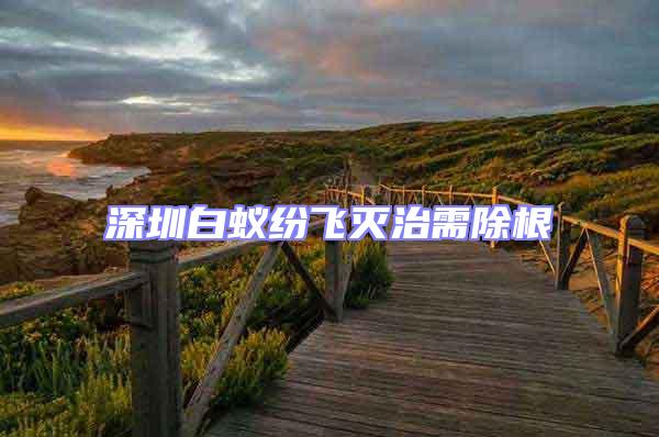 深圳白蟻紛飛滅治需除根