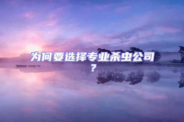 為何要選擇專業(yè)殺蟲(chóng)公司？