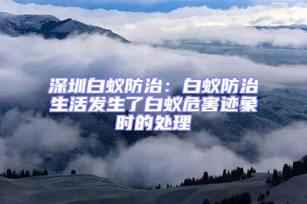 深圳白蟻防治：白蟻防治生活發生了白蟻危害跡象時的處理