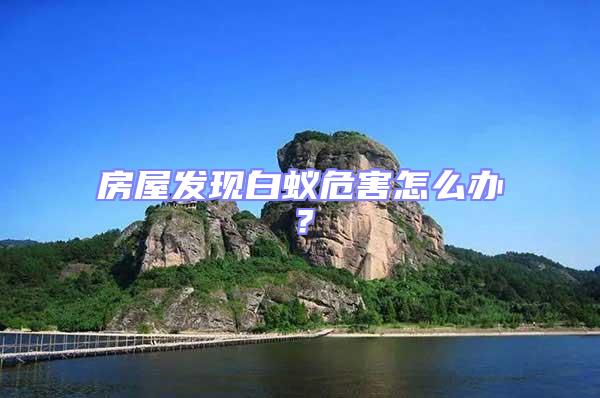房屋發現白蟻危害怎么辦？