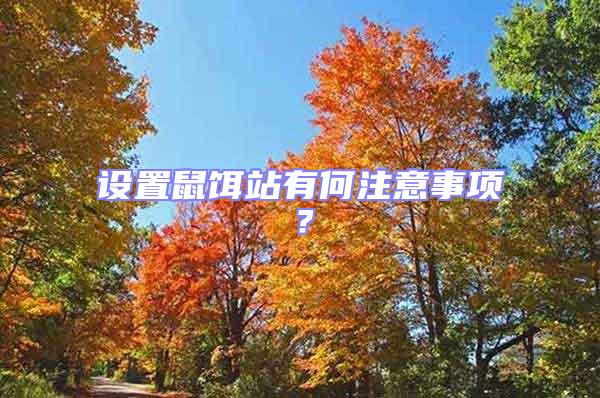 設置鼠餌站有何注意事項？