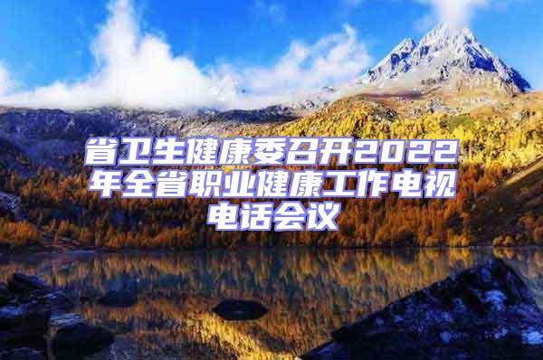省衛(wèi)生健康委召開2022年全省職業(yè)健康工作電視電話會議
