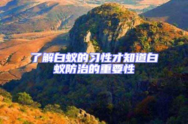 了解白蟻的習性才知道白蟻防治的重要性