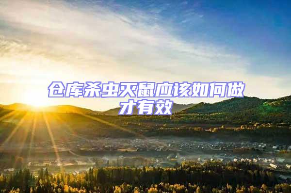 倉庫殺蟲滅鼠應該如何做才有效