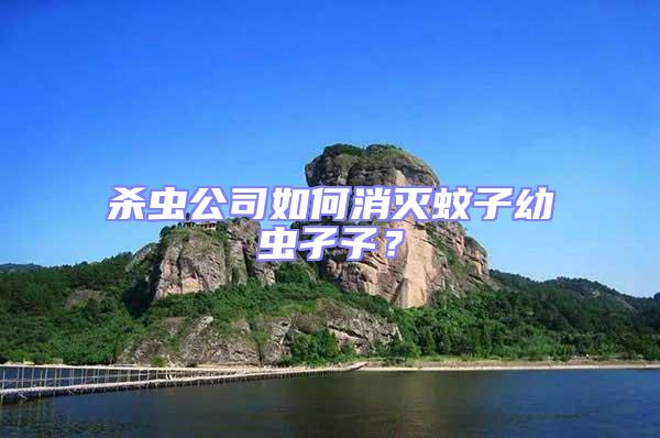 殺蟲(chóng)公司如何消滅蚊子幼蟲(chóng)孑孓？