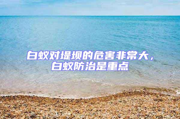 白蟻對堤壩的危害非常大，白蟻防治是重點