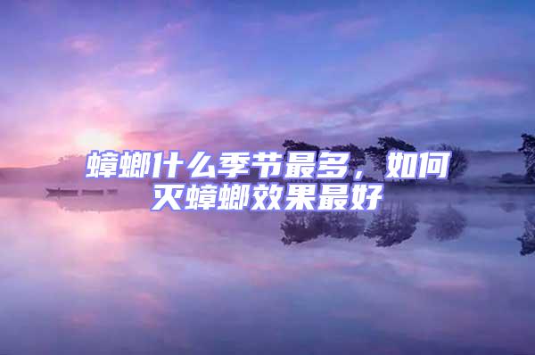 蟑螂什么季節最多，如何滅蟑螂效果最好