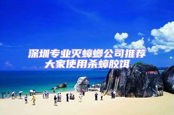 深圳專業(yè)滅蟑螂公司推薦大家使用殺蟑膠餌