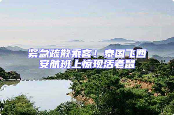 緊急疏散乘客！泰國(guó)飛西安航班上驚現(xiàn)活老鼠