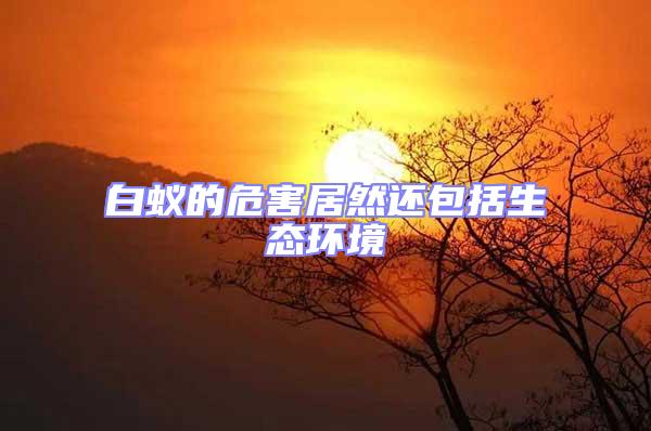 白蟻的危害居然還包括生態環境