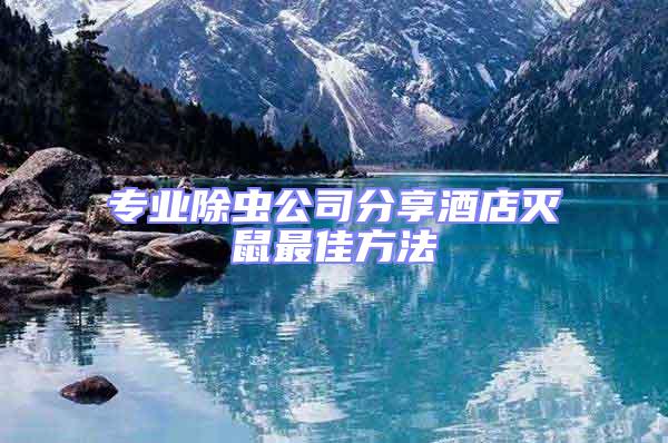 專業(yè)除蟲公司分享酒店滅鼠最佳方法