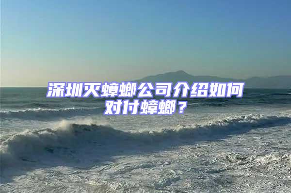 深圳滅蟑螂公司介紹如何對付蟑螂？