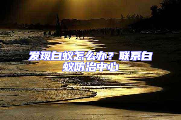 發(fā)現(xiàn)白蟻怎么辦？聯(lián)系白蟻防治中心