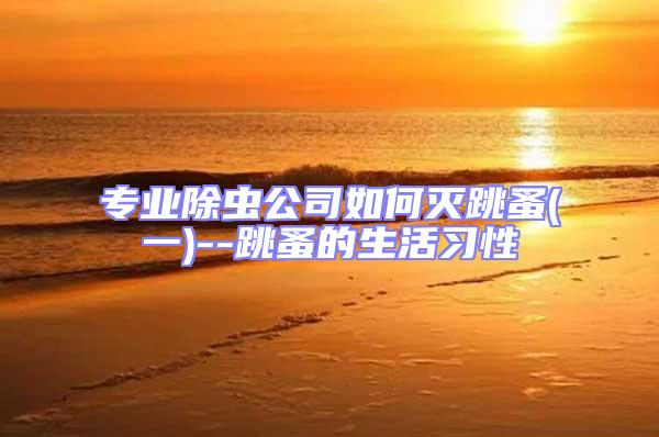 專業(yè)除蟲公司如何滅跳蚤(一)--跳蚤的生活習(xí)性