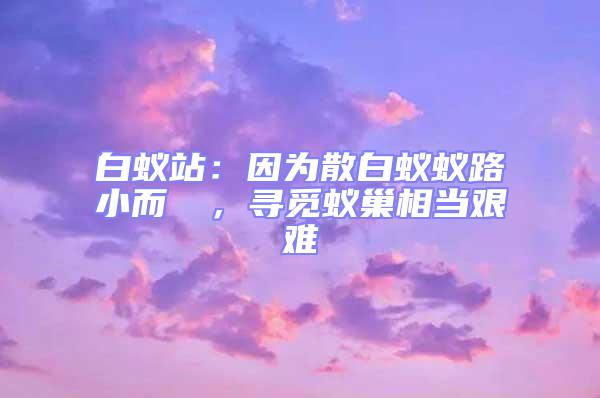 白蟻站：因?yàn)樯紫佅伮沸《]骳，尋覓蟻巢相當(dāng)艱難