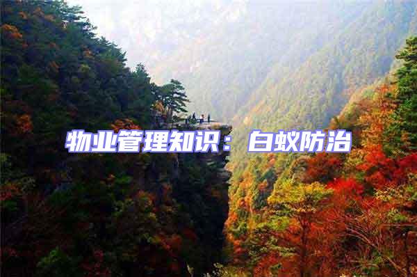 物業(yè)管理知識：白蟻防治