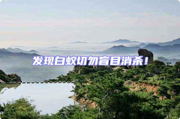 發(fā)現(xiàn)白蟻切勿盲目消殺！