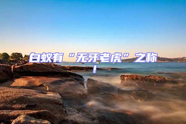 白蟻有“無牙老虎”之稱！