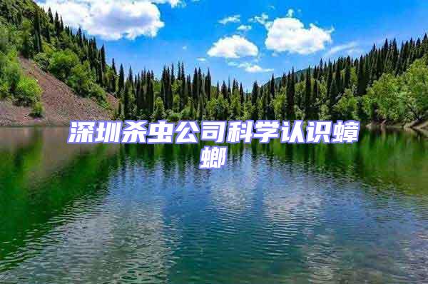 深圳殺蟲公司科學認識蟑螂