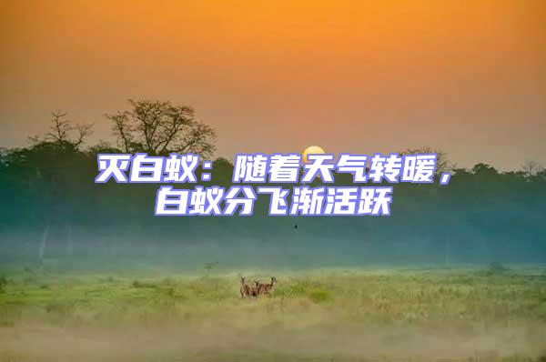 滅白蟻：隨著天氣轉暖，白蟻分飛漸活躍