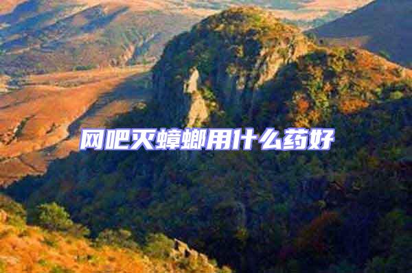 網(wǎng)吧滅蟑螂用什么藥好