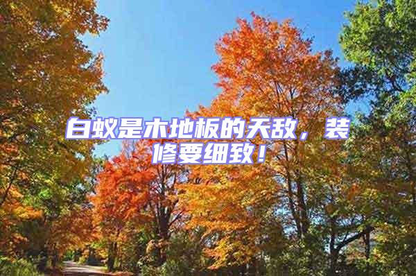 白蟻是木地板的天敵，裝修要細致！