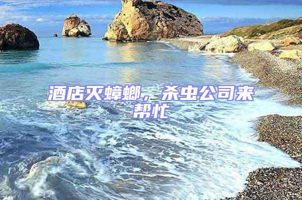酒店滅蟑螂，殺蟲公司來幫忙