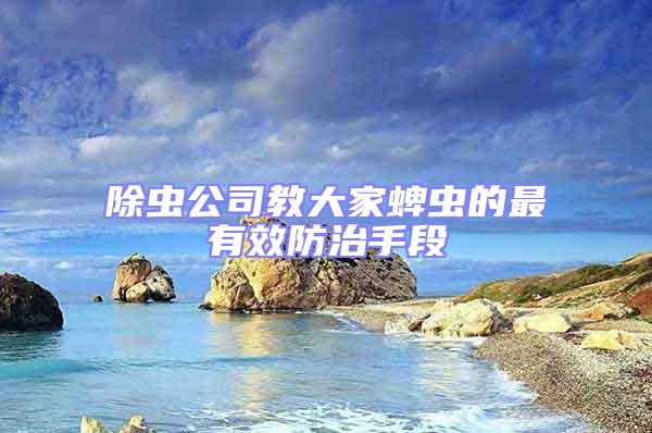 除蟲公司教大家蜱蟲的最有效防治手段