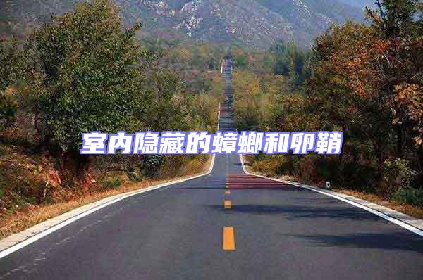 室內(nèi)隱藏的蟑螂和卵鞘