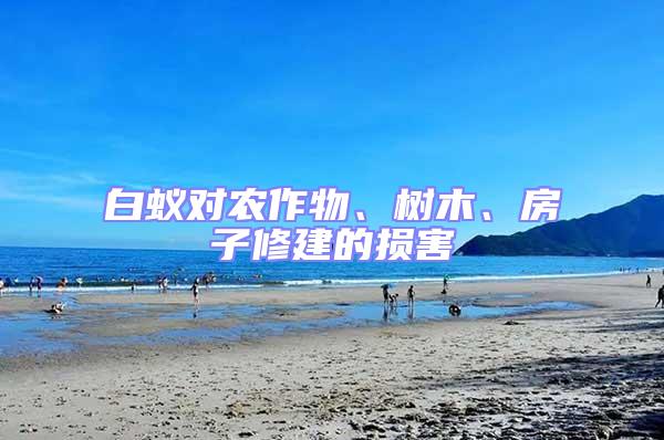 白蟻對農作物、樹木、房子修建的損害